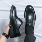 Levi - Classic Leather Oxford Shoes
